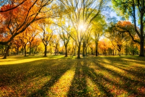 7 sposobw, aby nie przyty jesieni [Fot. eyetronic - Fotolia.com]