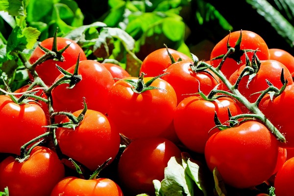 Antyrakowe waciwoci pomidorw nisze, gdy warzywa te s jedzone z misem [fot. Couleur z Pixabay]