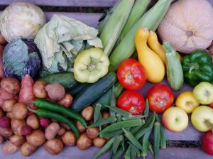 Barwna dieta sposobem na zdrowe i dugie ycie [August Vegetables 3 fot. sxc.hu]