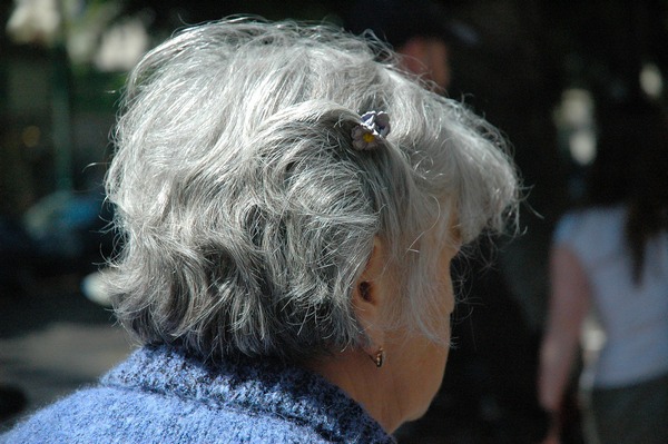 Choroba Alzheimera w u krewnego oznacza sabsze zdolnoci uczenia si i gorsz pami u ciebie [fot. Julia Mirvis z Pixabay]