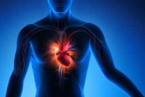 Choroba wiecowa: atomowa diagnostyka serca [Fot. psdesign1 - Fotolia.com]