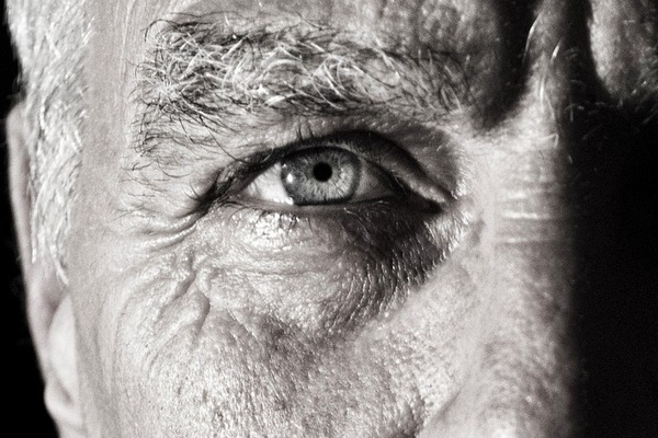Chorob Alzheimera mona rozpozna dziki... renicom [fot.  Simon Wijers z Pixabay]