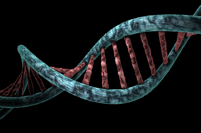 wiczenia chroni DNA i dlatego zapobiegaj chorobom [fot. Miroslaw Miras from Pixabay]