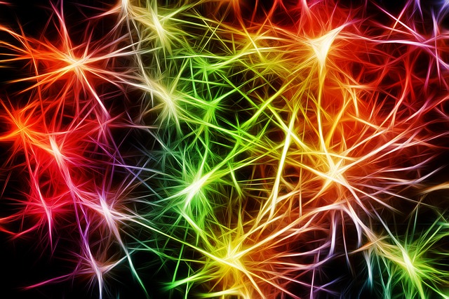 wiczenia chroni synapsy (poczenia nerwowe) u seniorw [fot. Gerd Altmann from Pixabay]