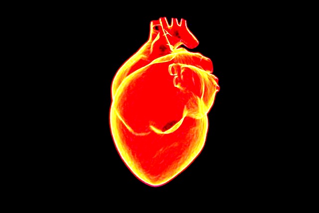 Czynniki ryzyka chorb serca s (w wikszoci) takie same dla wszystkich [fot. Raman Oza from Pixabay]