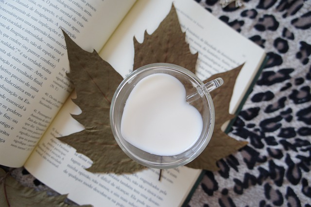 Dlaczego ciepe mleko pomaga zasn [fot. Mônica Rocha Mô from Pixabay]