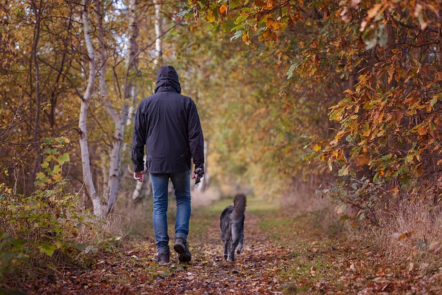 Dlaczego po spacerze lepiej si myli [fot. schroederhund from Pixabay]