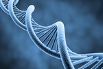 Dugo ycia - odpowied w DNA [© Sashkin - Fotolia.com]
