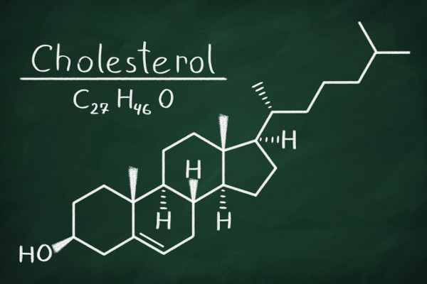 Dobry cholesterol (HDL) take moe szkodzi zdrowiu [Fot. makaule - Fotolia.com]