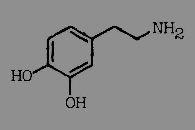 Dopamina moe pomc leczy chorob Alzheimera [fot.  erzebet prikel from Pixabay]