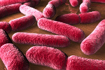 E.coli - czyste rce i czyste sumienie [© scienceandart - Fotolia.com]
