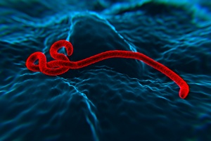 Ebola - fakty i mity [© nanomanpro - Fotolia.com]