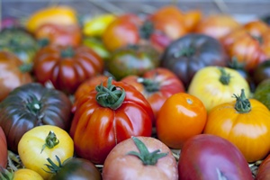 Fioletowe pomidory s zdrowsze i duej mona je przechowywa [©  auryndrikson - Fotolia.com]