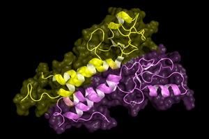 Gen odpowiadajcy za raka piersi zwizany take z rakiem puc [© petarg - Fotolia.com]