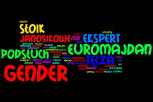 Gender - sowo roku 2013 [fot. wordle.net]