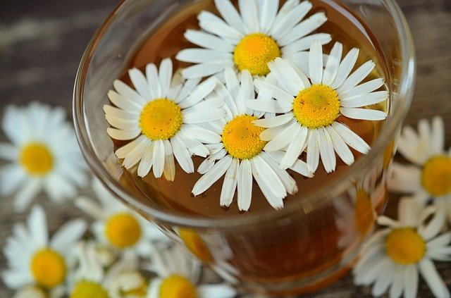 Herbata rumiankowa pomaga osabi powikania cukrzycy [fot.  congerdesign from Pixabay]