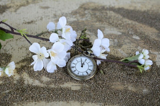 Ignorujesz indywidualny zegar biologiczny? Masz wysze ryzyko depresji i niszej jakoci ycia [fot. anncapictures from Pixabay]