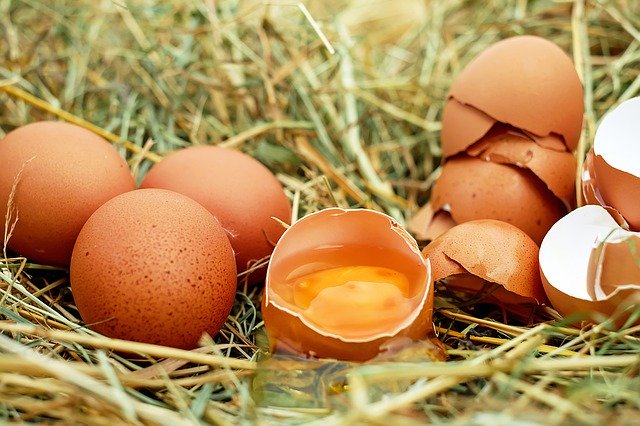 Jaja - ich przeciwutleniacze pomog zapobiec chorobom serca i nowotworom [fot. Couleur from Pixabay]