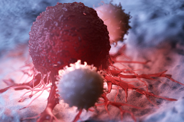 Jak wiczenia pomagaj chorym na raka  [Fot. Sebastian Kaulitzki - Fotolia.com]