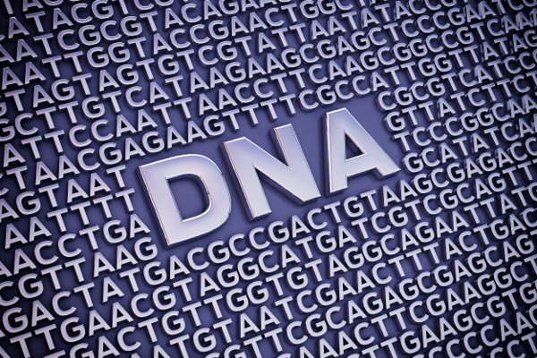 Jak geny wpywaj na wag - odchudzanie moe by trudne z powodu okrelonego DNA [Fot. nobeastsofierce - Fotolia.com]
