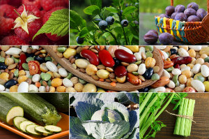 Jedz sezonowo - 7 rde witamin w sierpniowych warzywach i owocach [fot. collage Senior.pl]