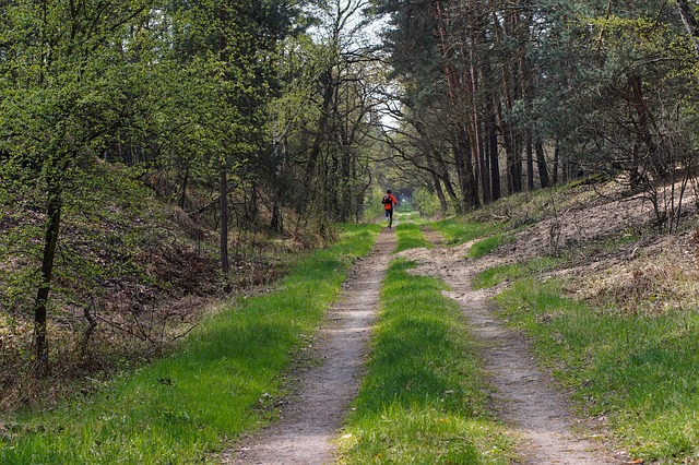 Jogging (niezbyt intensywny) sprzyja dugowiecznoci [fot. summa z Pixabay]