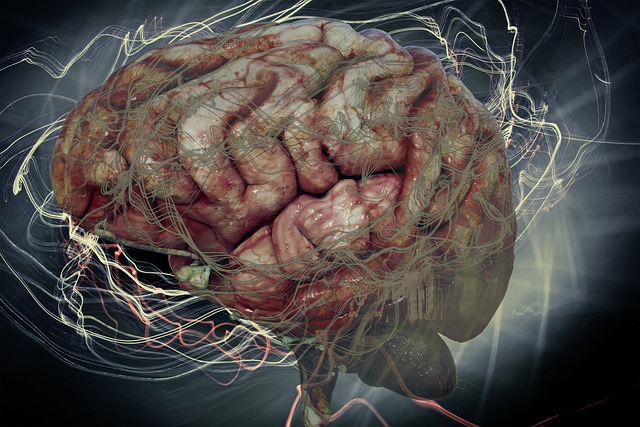 Komrki odpornociowe mzgu mog spowolni rozwj choroby Alzheimera [fot. Wolfgang Eckert from Pixabay]