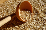 Komosa ryowa (quinoa) - prozdrowotne waciwoci „zota Inkw” [© nool - Fotolia.com]