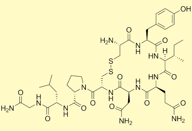 Koronawirus - pomoe "hormon mioci"? [fot. Wikipedia, PD]