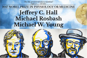 Medyczny Nobel 2017 - za badania nad biologicznym zegarem dobowym [Jeffrey C. Hall, Michael Rosbash i Michael W. Young, fot. nobelprize.org]