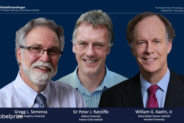 Medyczny Nobel 2019 za odkrycie mechanizmw umoliwiajcych leczenie nowotworw [fot. William G. Kaelin Jr., Sir Peter J. Ratcliffe i Gregg L. Semenza / nobelprize.org]