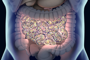 Mikrobiom jelitowy ma wpyw na regulowanie reakcji na stres [Fot. Anatomy Insider - Fotolia.com]