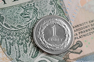 Na co Polacy wydaj pienidze? [© whitelook - Fotolia.com]