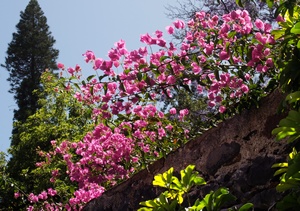 Najpikniejsze europejskie ogrody botaniczne [© hufnasi - Fotolia.com]