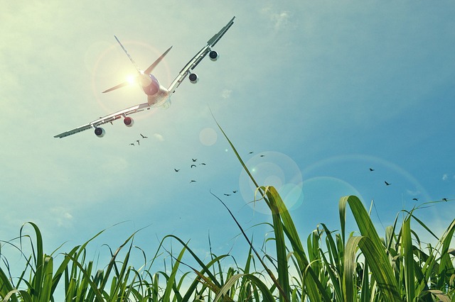 Naraenie na haas samolotw ma zwizek z wyszym BMI i otyoci [fot. ThePixelman from Pixabay]