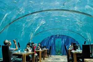 Nietypowe restauracje wiata [Ithaa Undersea Restaurant, fot. Qtravel]
