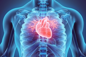 Niewydolno serca - pacjentom pomaga jedzenie wikszych iloci biaka [Fot. yodiyim - Fotolia.com]