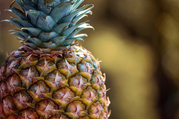 Niezwyke waciwoci ananasw [fot. Manfred Richter from Pixabay]