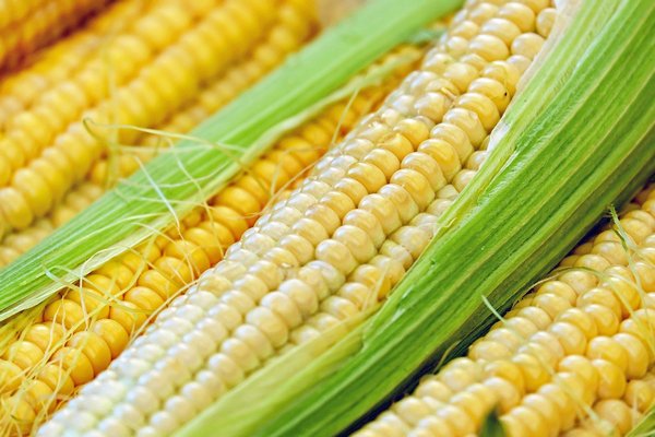 Niezwyke zastosowania kukurydzy [fot. Couleur from Pixabay]