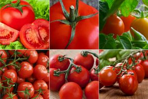 Niezwyke zastosowania pomidorw [fot. collage Senior.pl]