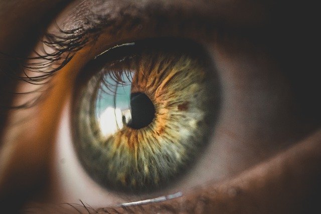 Oczy - sposb ich funkcjonowania moe wskazywa ryzyko choroby Alzheimera [fot. Bruno Henrique from Pixabay]