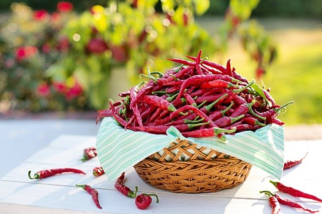 Papryczki chili pomag osabi bl [fot. Jill Wellington from Pixabay]