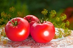 Pomidory w profilaktyce raka i chorb serca [© Dron - Fotolia.com]