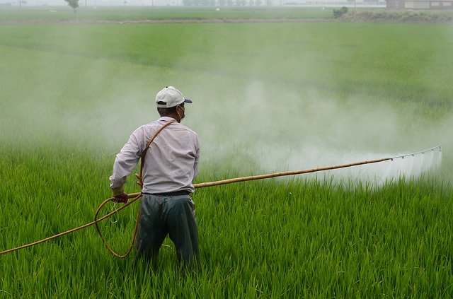 Popularny pestycyd odpowiedzialny za otyo? [fot. zefe wu from Pixabay]