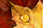 Powstrzymaj jesienn chandr [© Anyka - Fotolia.com]