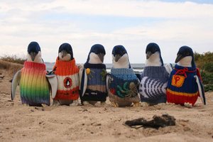 Robienie sweterkw dla pingwinw - hobby najstarszego Australijczyka [fot. http://penguinfoundation.org.au]