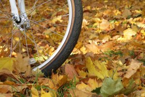 Rower jesieni - czy to dobry pomys? [Fot. Oleg - Fotolia.com]