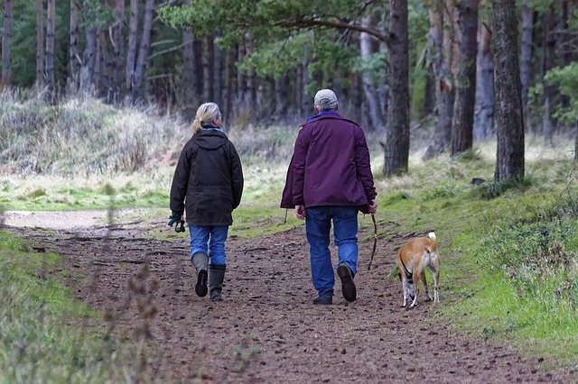 Sposb na aktywno w starszym wieku - posiadanie psa [fot. Kevin Phillips from Pixabay]