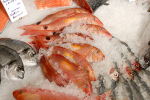 Sposb na wiosenne przesilenie - dieta bogata w ryby morskie [© Terence Mendoza - Fotolia.com]