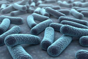 Superbakterie: oporne na antybiotyki, niebezpieczne. Sami je hodujemy [Fot. norman blue - Fotolia.com]
